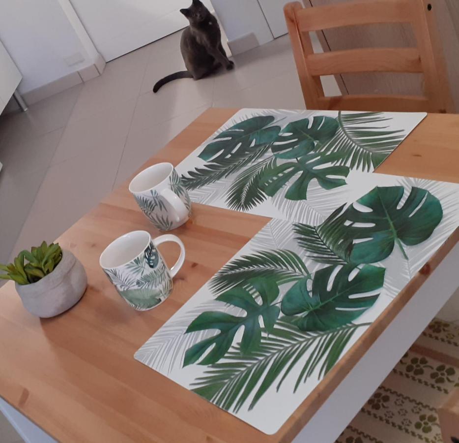Casa Tavio 6 Casa Tavio 7 Apartment Коста дел Силенцио Екстериор снимка